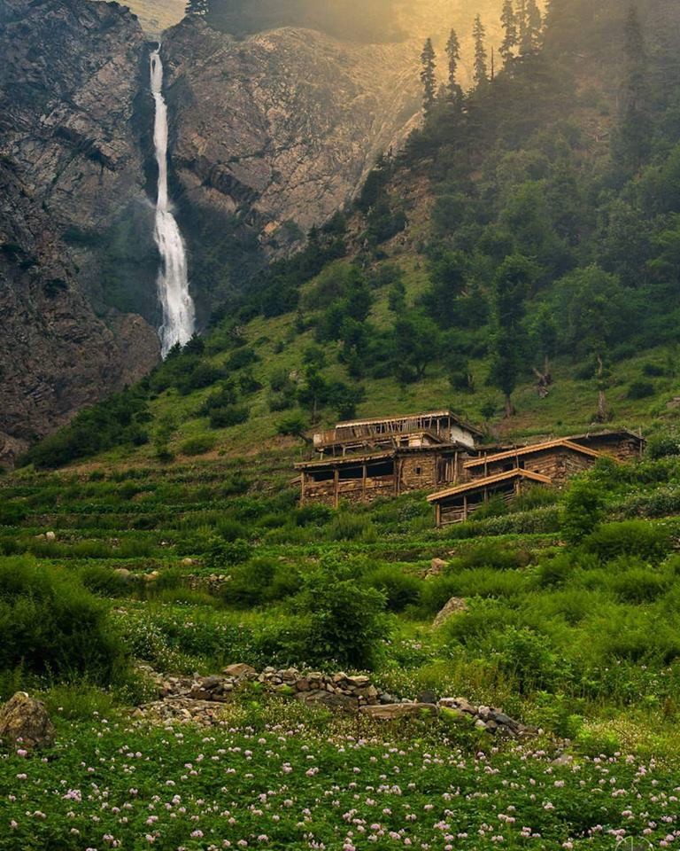 Matiltan Forest The Gateway to the Alpine Wonders of Swat Valley
