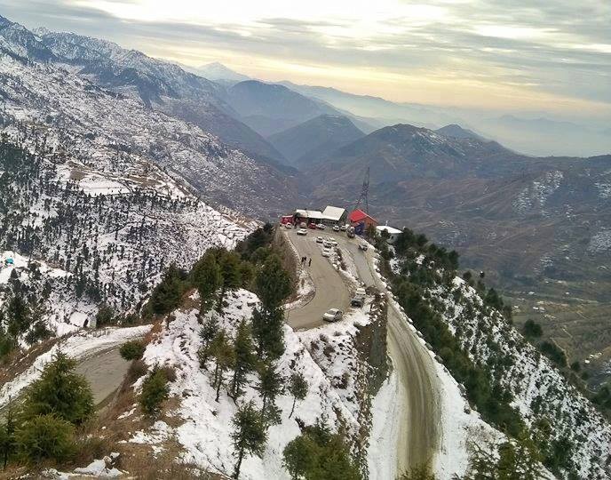 Shangla Swat Border Forests The Majestic Frontier Woodlands of Northern Pakistan