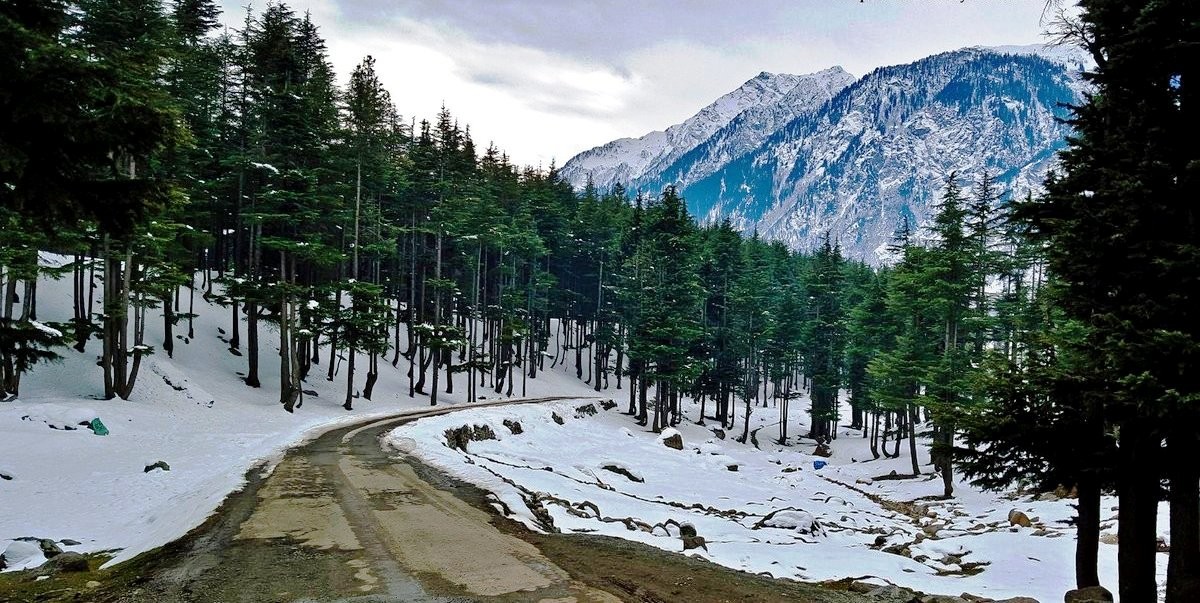 Ushu Forest  The Crown Jewel of Swat Valley