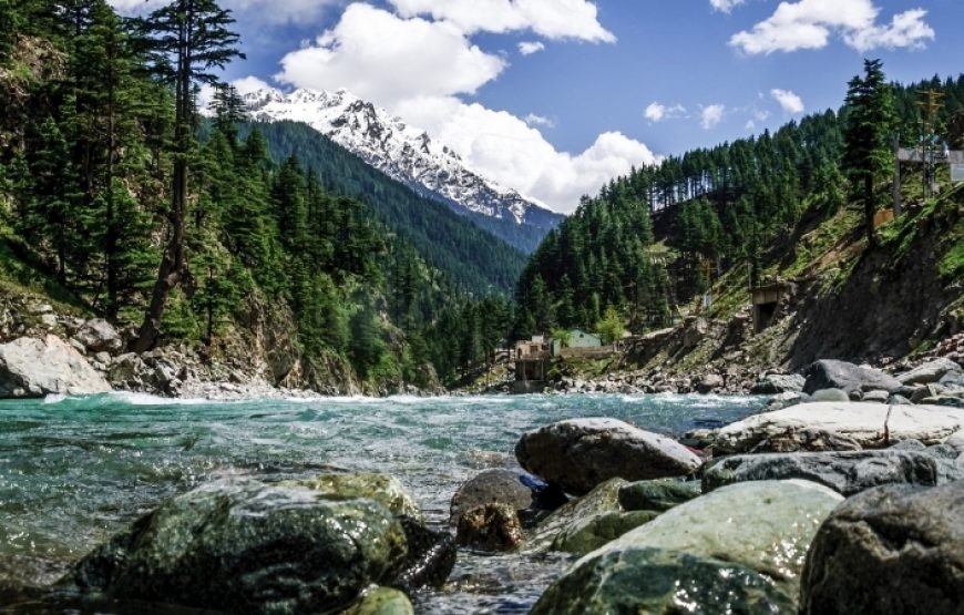 Chail Forest  The Emerald Woodland of Swat Valley