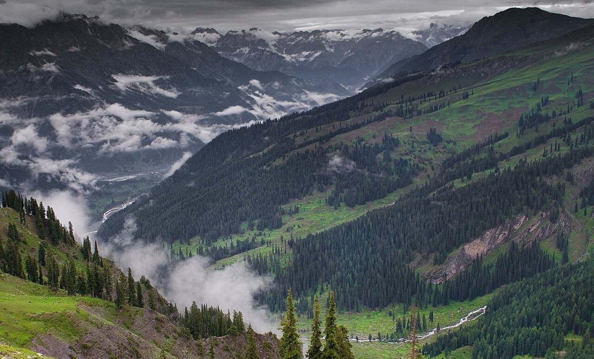 Utror Forest  The Scenic Woodland of Upper Swat