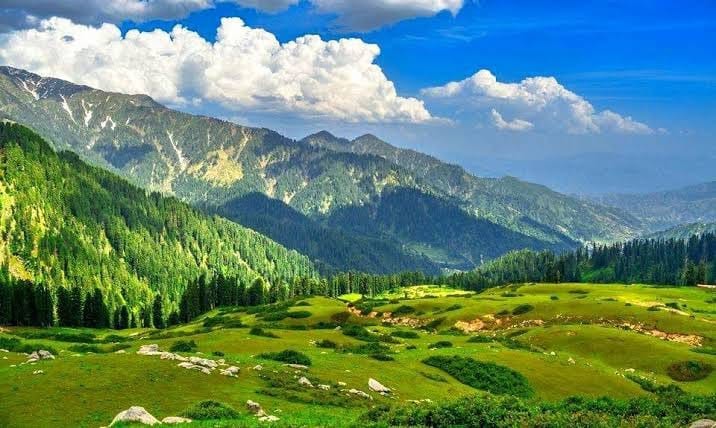 Gabin Jabba Forest The Enchanted Mountain Forest of Swat Valley