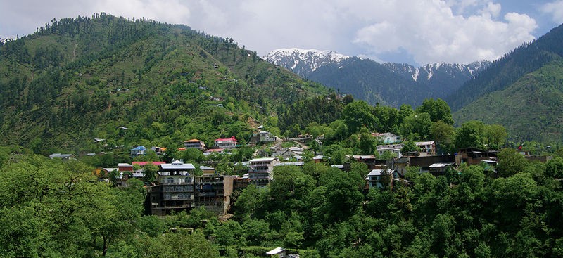 Miandam Forest  The Scenic Green Retreat of Swat Valley