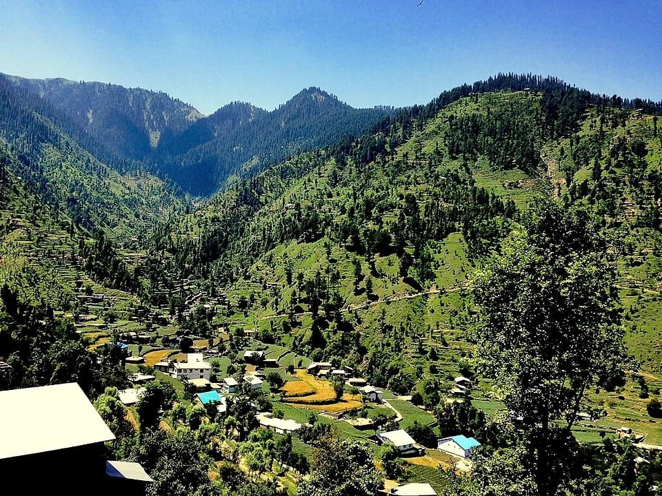 Fatehpur Forest  The Green Mountain Sanctuary of Swat Valley