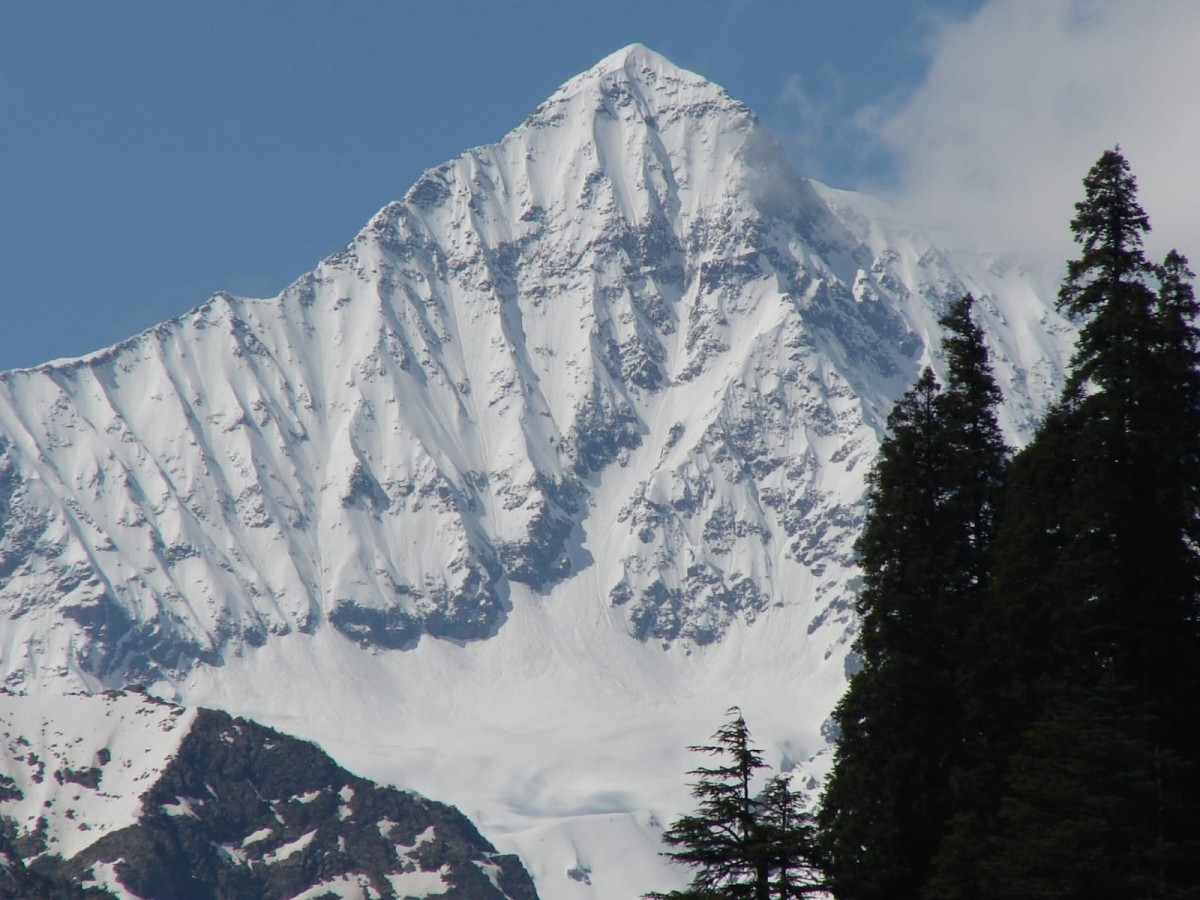 Elum Ghar Forest  The Sacred Mountain Forest of Swat Valley