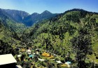 Fatehpur Forest  The Green Mountain Sanctuary of Swat Valley