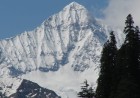 Elum Ghar Forest  The Sacred Mountain Forest of Swat Valley