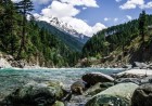 Chail Forest  The Emerald Woodland of Swat Valley