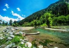 Gabral Forest The Untouched Wilderness of Swat Valley