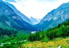 Mankial Forest The Majestic Mountain Forest of Swat Valley