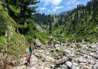 Saidgai Forest The Untouched Highland Forest of Swat Valley