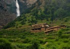 Matiltan Forest The Gateway to the Alpine Wonders of Swat Valley