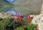 Loypanghalay Lake  The Hidden Alpine Gem of Utror Valley, Swat