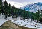Ushu Forest  The Crown Jewel of Swat Valley