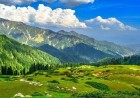 Gabin Jabba Forest The Enchanted Mountain Forest of Swat Valley