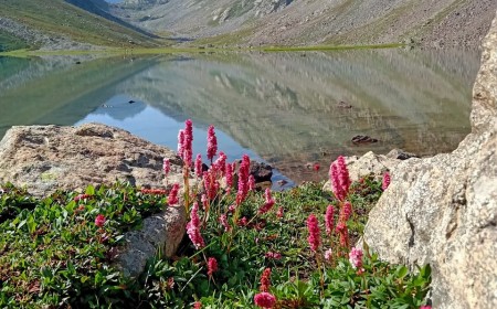 Loypanghalay Lake  The Hidden Alpine Gem of Utror Valley, Swat