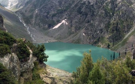 Spin Khwar Forest The Untouched Green Wilderness of Swat Valley