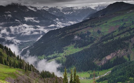 Utror Forest  The Scenic Woodland of Upper Swat