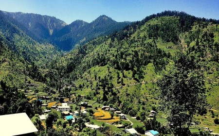 Fatehpur Forest  The Green Mountain Sanctuary of Swat Valley