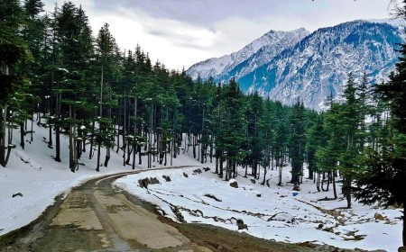 Ushu Forest  The Crown Jewel of Swat Valley