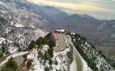 Shangla Swat Border Forests The Majestic Frontier Woodlands of Northern Pakistan