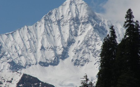 Elum Ghar Forest  The Sacred Mountain Forest of Swat Valley