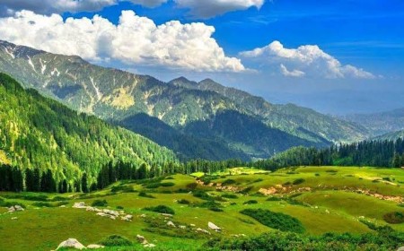 Gabin Jabba Forest The Enchanted Mountain Forest of Swat Valley