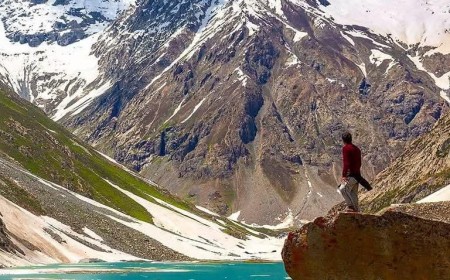 Kooh Forest The Serene Mountain Woodland of Swat Valley