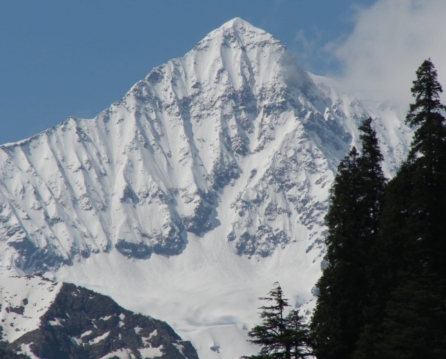 Elum Ghar Forest  The Sacred Mountain Forest of Swat Valley