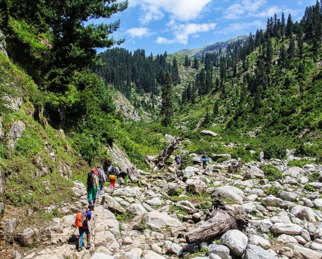 Saidgai Forest The Untouched Highland Forest of Swat Valley