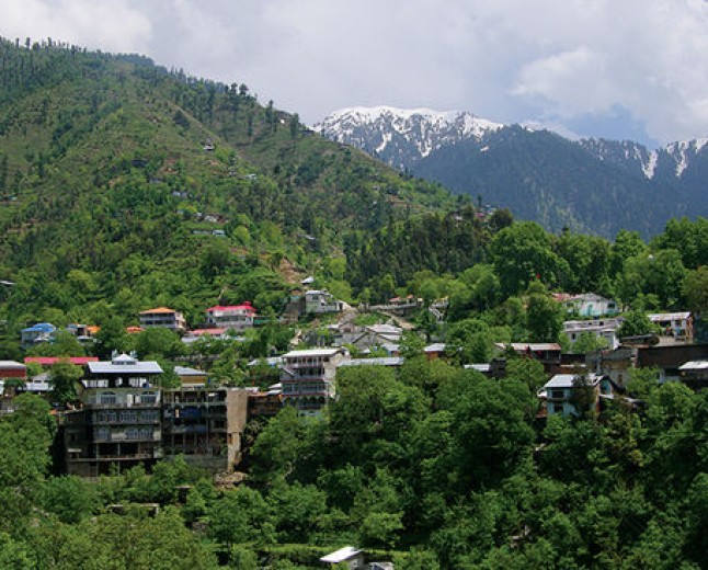 Miandam Forest  The Scenic Green Retreat of Swat Valley
