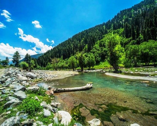 Gabral Forest The Untouched Wilderness of Swat Valley