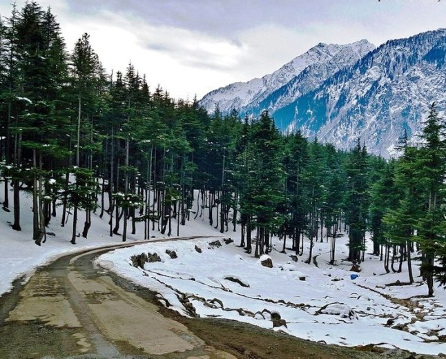 Ushu Forest  The Crown Jewel of Swat Valley