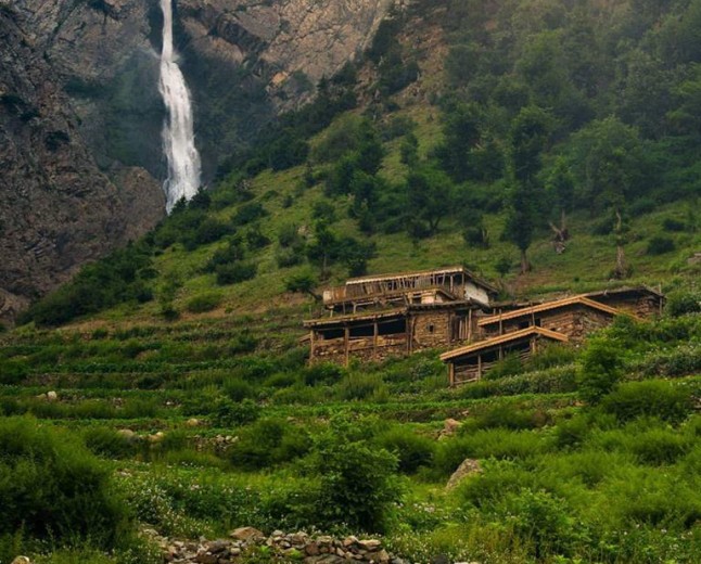 Matiltan Forest The Gateway to the Alpine Wonders of Swat Valley
