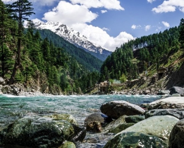 Chail Forest  The Emerald Woodland of Swat Valley