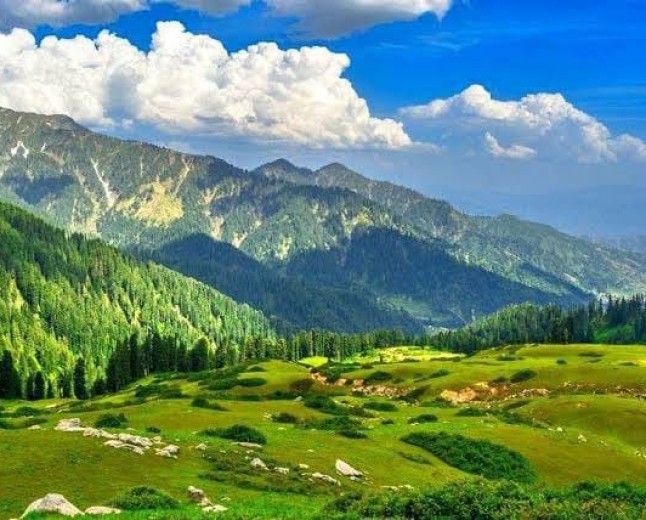 Gabin Jabba Forest The Enchanted Mountain Forest of Swat Valley