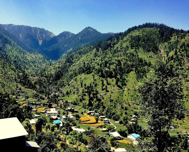 Fatehpur Forest  The Green Mountain Sanctuary of Swat Valley