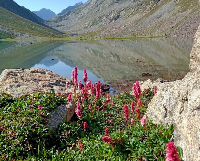 Loypanghalay Lake  The Hidden Alpine Gem of Utror Valley, Swat