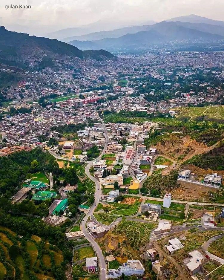 Saidu Sharif