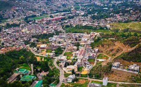 Saidu Sharif